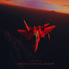 Red Eye Flight
